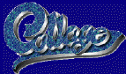 collage.jpg (44705 bytes)